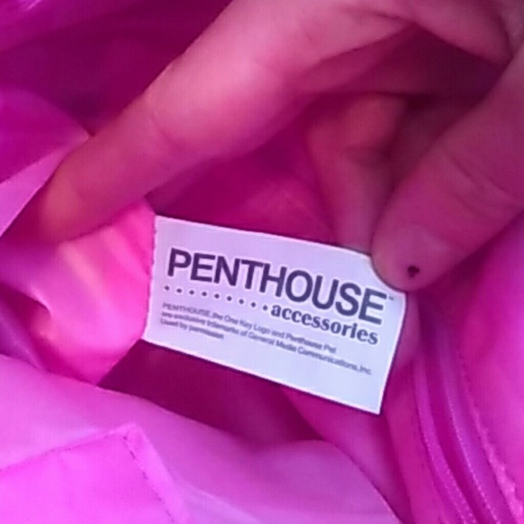 ❄BNWT Penthouse Purse - Picture 3 of 6